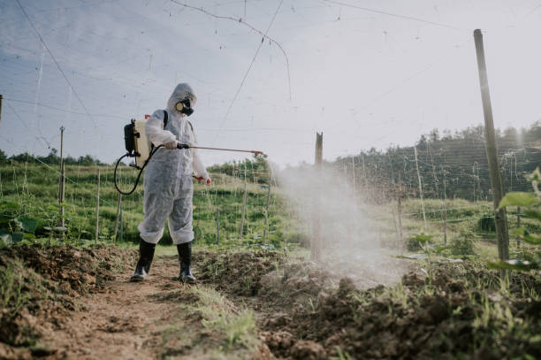Best Mosquito Control Services  in Toronto, OH