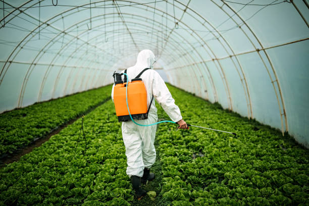 Best Affordable Pest Control Services  in Toronto, OH