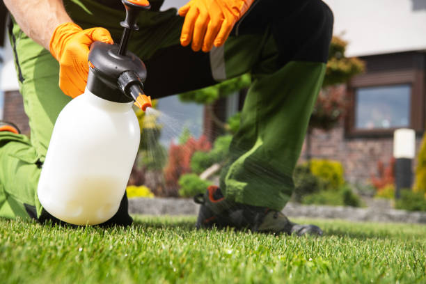Trusted Toronto, OH Pest Control Experts