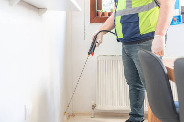 Best Local Pest Control Services  in Toronto, OH