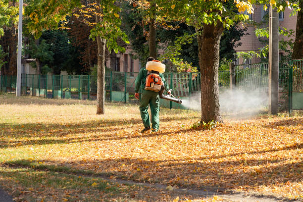 Best Residential Pest Control  in Toronto, OH