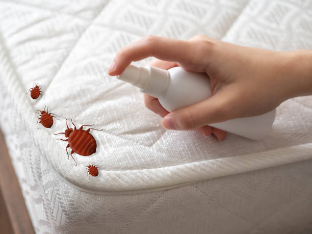 Best Insect Control  in Toronto, OH