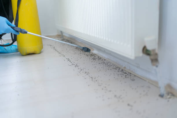 Best Pest Prevention Services  in Toronto, OH