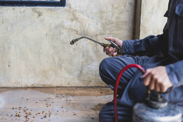 Best Local Pest Control Services  in Toronto, OH